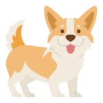 For Dogs