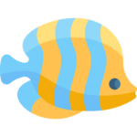 For Fish